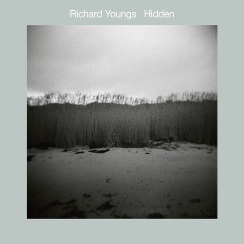 Youngs,richard - Hidden - Vinyl Record