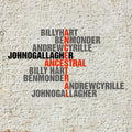 O'gallagher,john - Ancestral - Vinyl Record