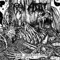 Swarm Decomposition Music CD