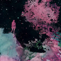 Unreqvited - Mosaic I: L'amour Et L'ardeur - Vinyl Record