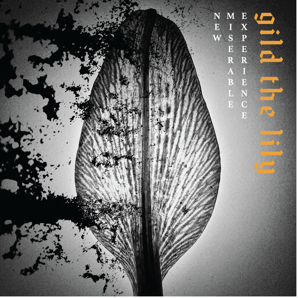 Gild The Lily [LP] Vinyl Record