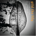 New Miserable Experience - Gild The Lily - Music CD