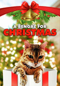Bengal For Christmas - Bengal For Christmas - DVD