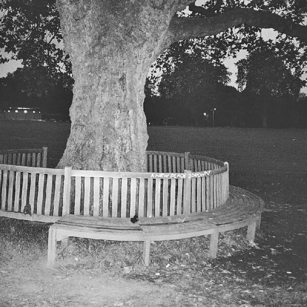 A New Place 2 Drown (Instrumentals) [LP] Vinyl Record