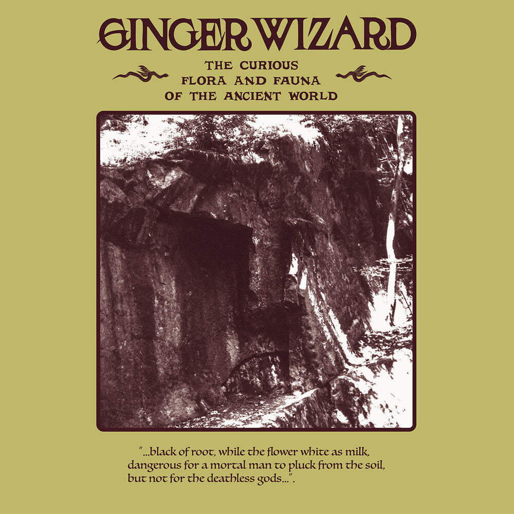 Ginger Wizard - Curious Flora & Fauna Of The Ancient World (Uk) [LP]