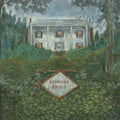 Weirs - Diamond Grove - Vinyl Record