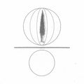 O'malley,stephen - Spheres Collapser - Vinyl Record