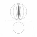 Spheres Collapser [LP] Vinyl Record