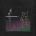 Wolfmother - Rock'n'roll Baby - Music CD