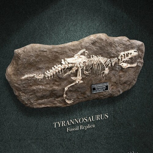 T-rex Fosil Replica - T-rex Fosil Replica - Collectibles