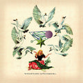 Weaver,jane - Fallen By Watch Bird - Vinyl Record