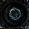 Stonus - Stonus - Music CD