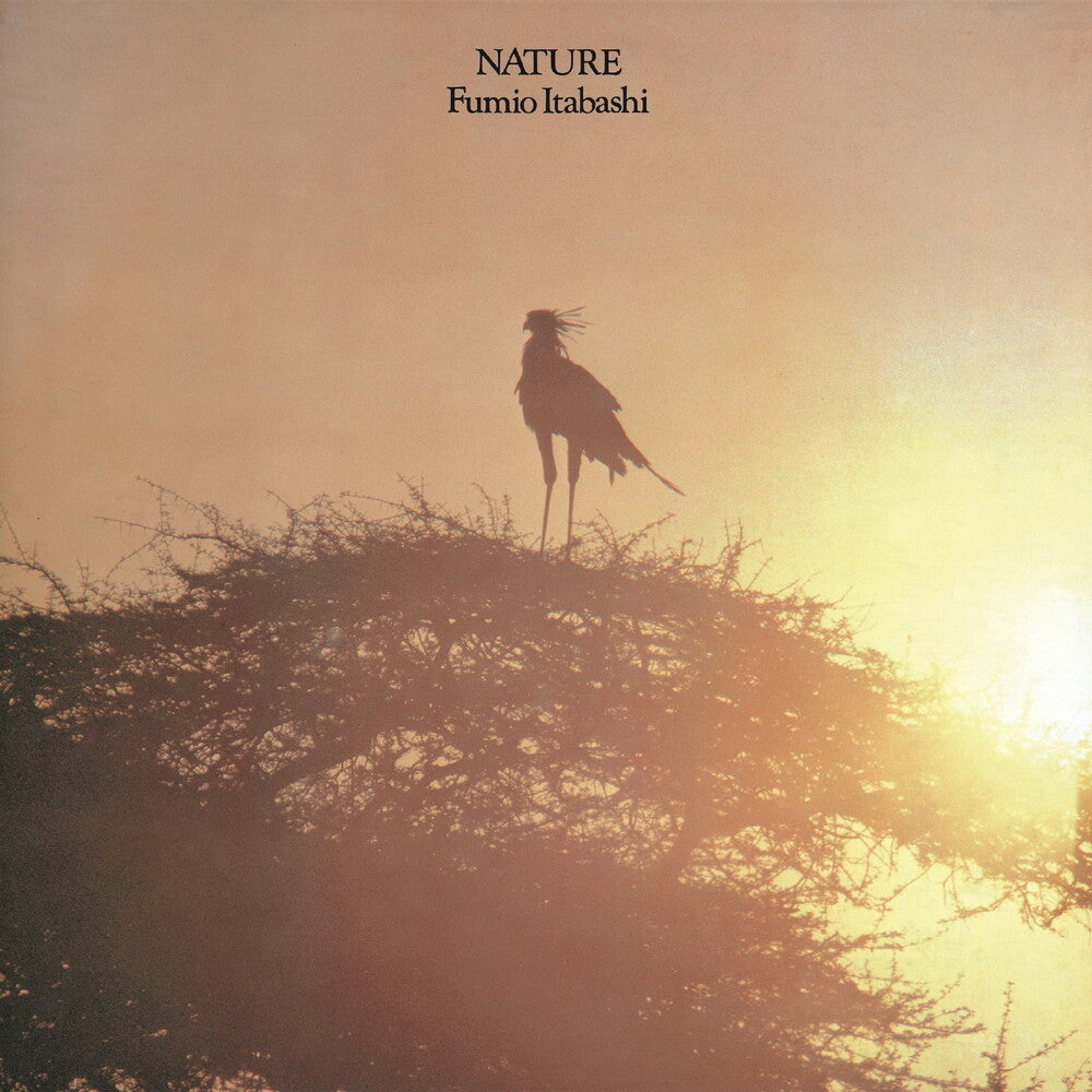 Fumio Itabashi - Nature [LP]