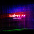 Wolverine - Anomalies - Music CD