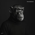 Felsmann + Tiley - Protomensch [LP]