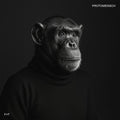 Felsmann + Tiley - Protomensch - Vinyl Record