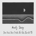 Boay,andy - You Took That Walk For The Two Of Us - Vinyl Record