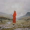 Evergreen In Your Mind [LP] Vinyl Record
