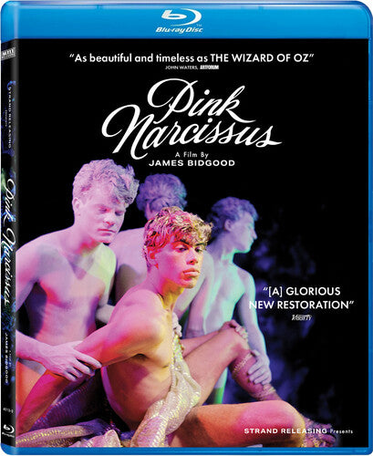 Pink Narcissus - Pink Narcissus - Blu-ray