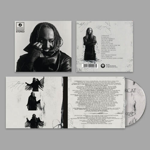 Thundercat - Distracted - Music CD