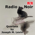 Flygstad,jana - Radio Noir - Music CD