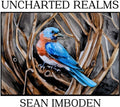 Imboden,sean - Uncharted Realms - Music CD