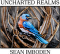 Uncharted Realms [Digipak]
