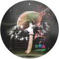 Move 2 The Groove [12" Vinyl] Vinyl Record