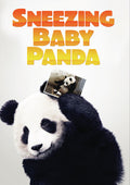 Sneezing Baby Panda - Sneezing Baby Panda - DVD