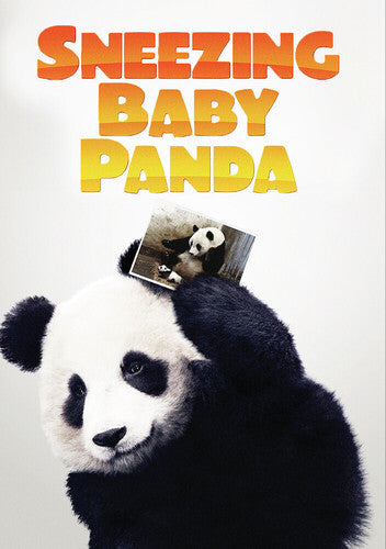Sneezing Baby Panda - Sneezing Baby Panda - DVD