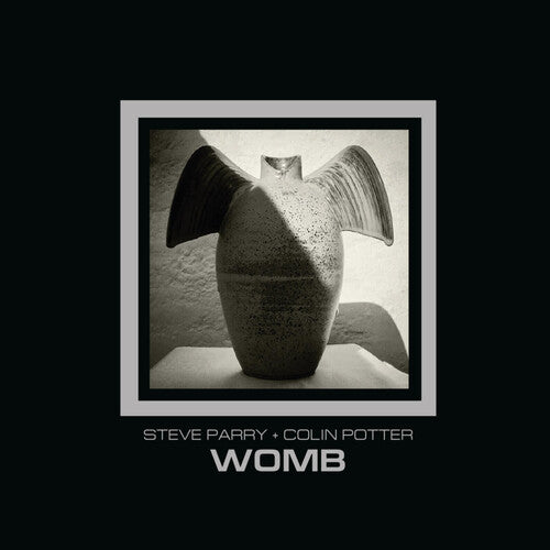 Parry,steve / Potter,colin ( Nurse With Wound ) - Womb - Music CD