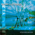 Parallel Or 90 Degrees - Aftersometimelater - Music CD