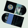 My New Band Believe - My New Band Believe - Vinyl Record