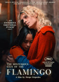 Mysterious Gaze Of The Flamingo - Mysterious Gaze Of The Flamingo - DVD