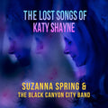 Lost Songs Of Katy Shayne [LP] Vinyl Record