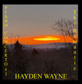Wayne,hayden - Piano Concerto #3: The Romantic - Music CD