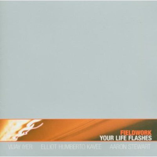 Fieldwork - Your Life Flashes - Music CD