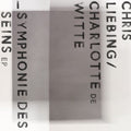 Liebing,chris / De Witte,charlotte - Symphonie Des Seins - Vinyl Record