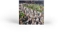 Arkells - Between Us - Music CD