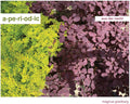 Aperiodic - Aus Der Nacht - Music CD