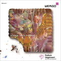 Crunch Music CD