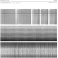 Christina Kubisch - Tuning [LP]