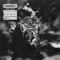 Diesect - Hide From The Light - Vinyl Record
