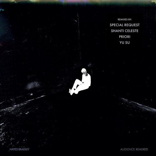 Bradley,hayes - Audience (remixed) - Vinyl Record