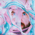 Pictish Trail - Life Slime [CD]
