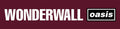 Pluginz Oasis Wonderwall Magnetic Grill - Pluginz Oasis Wonderwall Magnetic Grill - Novelties