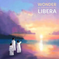 Pre-Order: Greatest Hits - Wonder (Uk) [LP] Vinyl Record