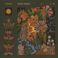 Taiga Trans [LP] Vinyl Record