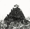Winterswell [12" Vinyl] Vinyl Record
