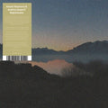Okamura,azumi & Esperti,andrea - Nighthawks - Vinyl Record